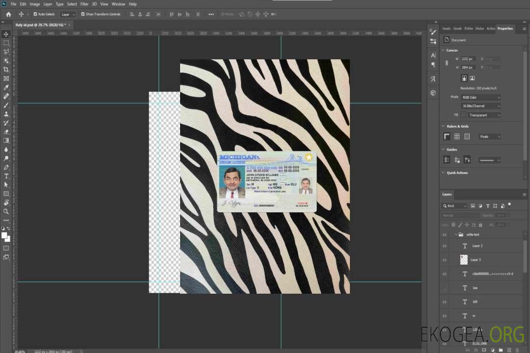 USA Michigan DL photolook AVANT template USA Michigan DL photolook AVANT template